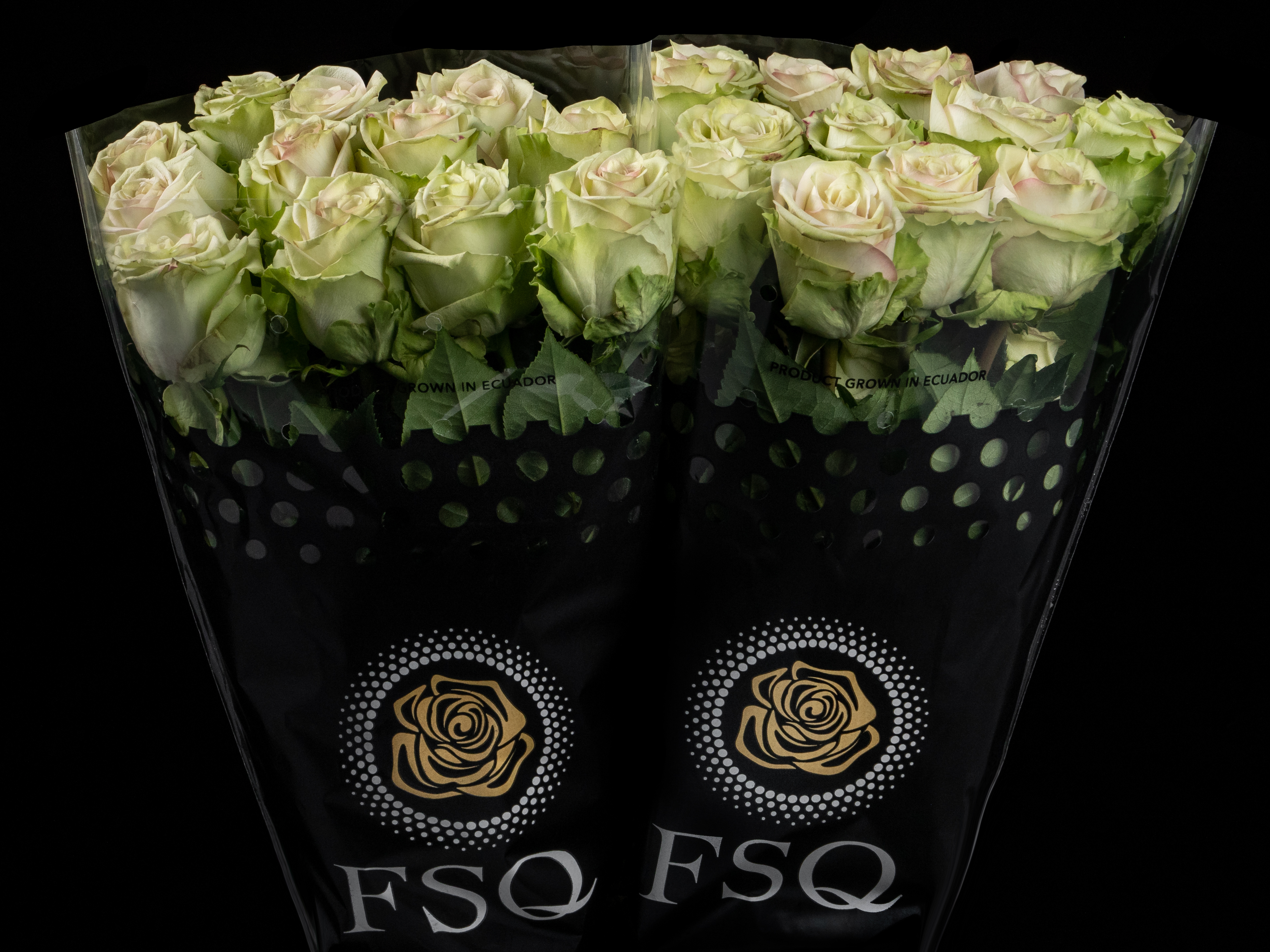 olivenbaum dngen ab wann Olivenbaum Dnger von Flora Boost