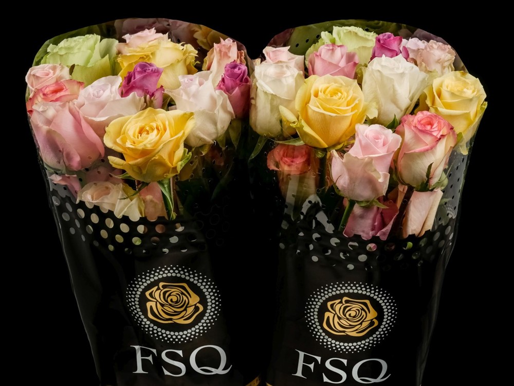 SEASONS MIX PASTEL a Assorted rose from Ecuador