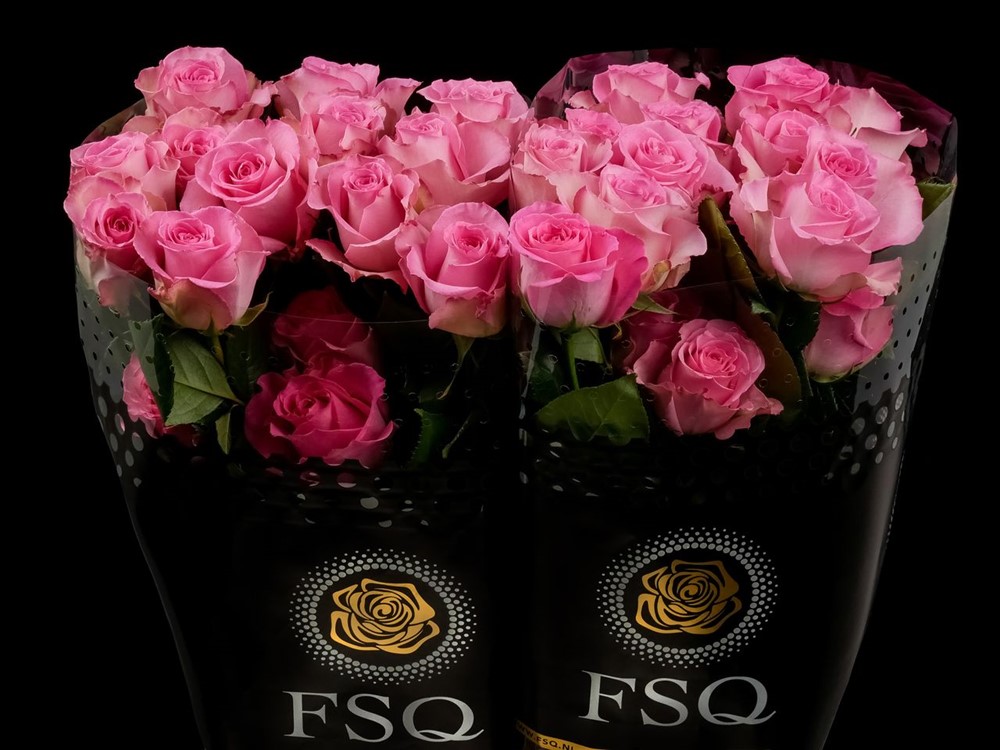 Unique Rose Breeds 15 Different Roses To Gift And Express Your Love