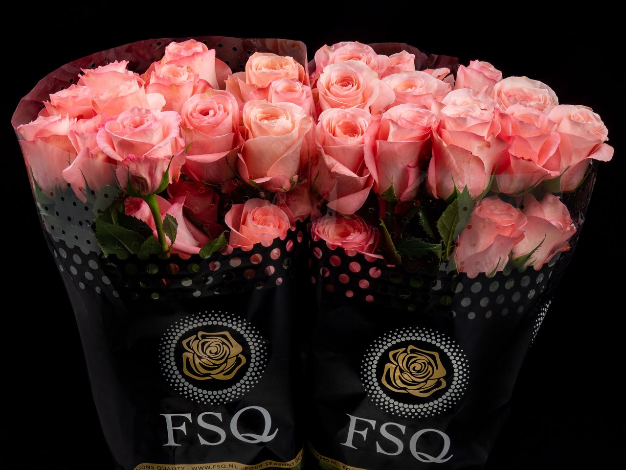 Madre Rosa