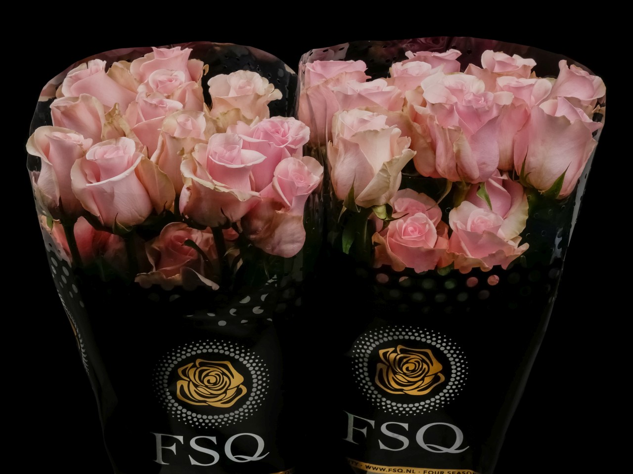 Rosa Titanica Quente Mola De Compressão Mola Pesada Daewon China